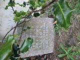 image of grave number 845217